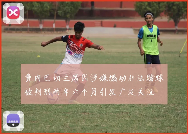 费内巴切主席因涉嫌煽动非法赌球被判刑两年六个月引发广泛关注