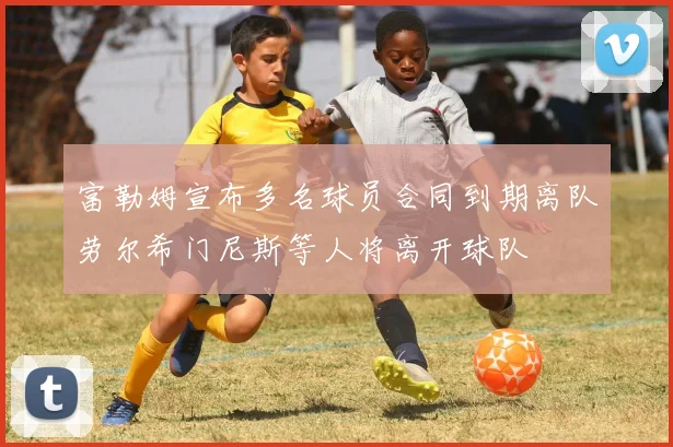 富勒姆宣布多名球员合同到期离队劳尔希门尼斯等人将离开球队